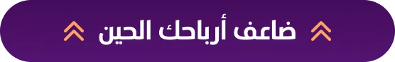 التجارة الإلكترونية وكيفية بناء بزنس ناجح من الصفر 2 التجاره الالكترونيه